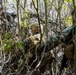 BSC evaluates tactical surveillance capabilities