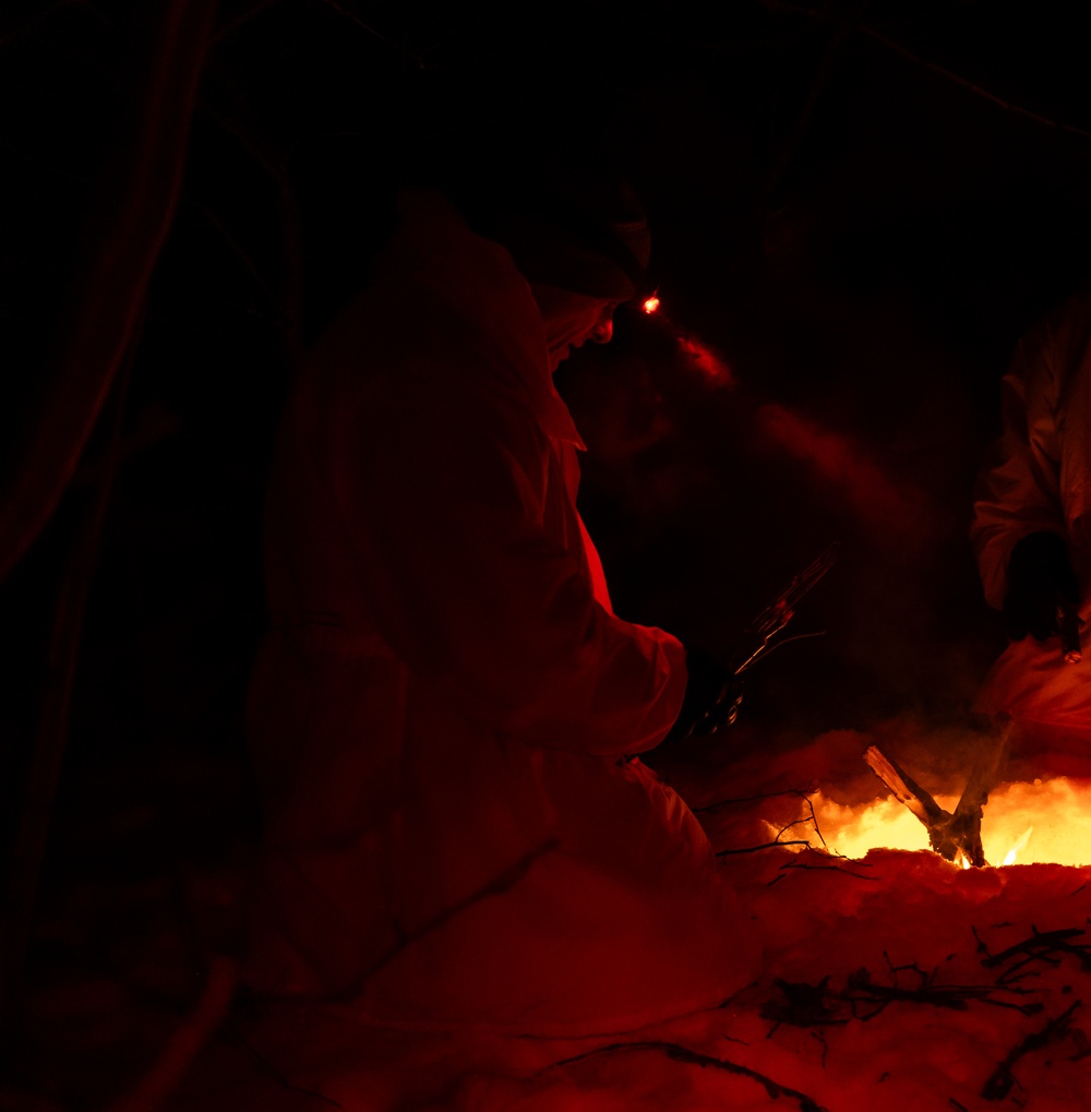 MLRS battalion constructs shelters in the arctic during exercise in Norway