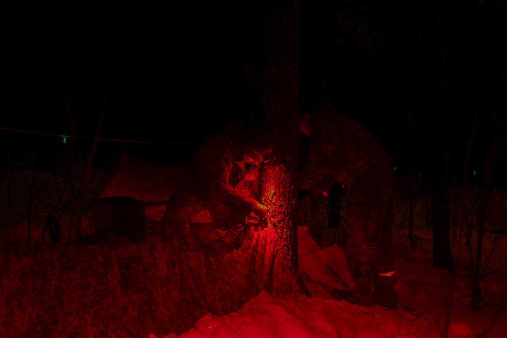 MLRS battalion constructs shelters in the arctic during exercise in Norway