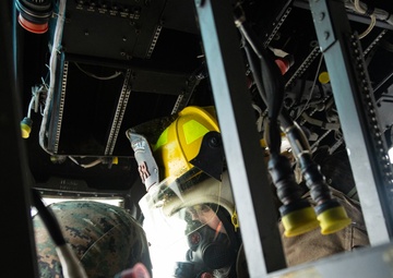 Resolute Response | 2025