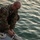 U.S. Marines with 12th LLB Receive Familiarization Training on the ALPV