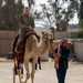 Airmen journey through the sands with a bazaar and camel riding