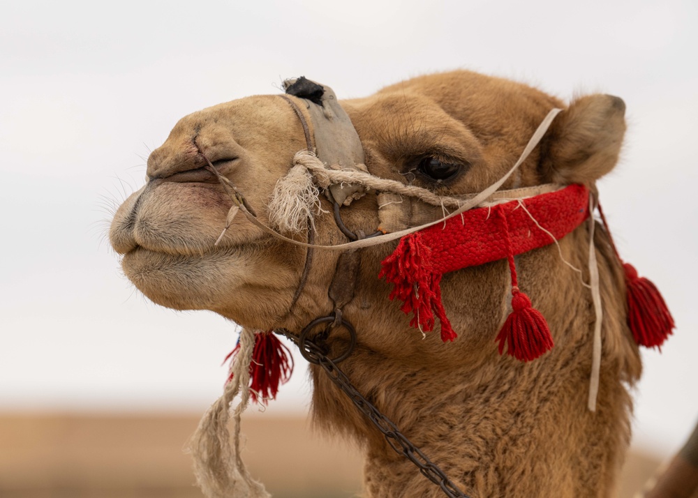 Airmen journey through the sands with a bazaar and camel riding