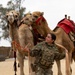 Airmen journey through the sands with a bazaar and camel riding