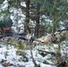5-7th CAV Conduct Security Exercise Sentry Sentinel