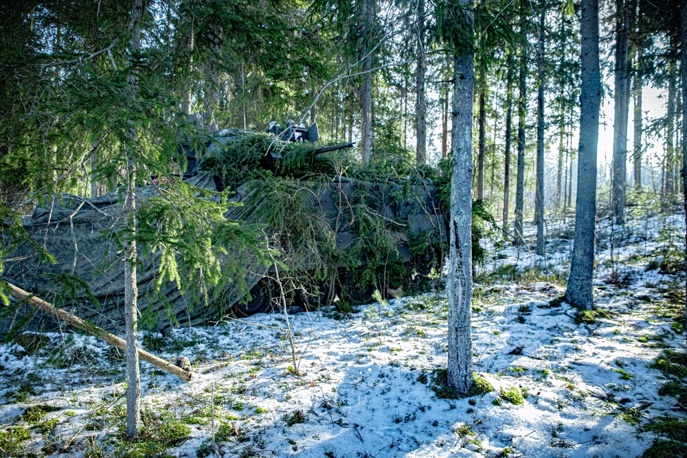 5-7th CAV Conduct Security Exercise Sentry Sentinel