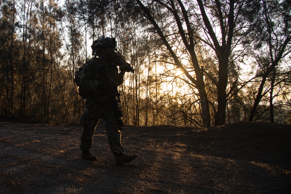 At the Crack of Dawn: Students at SOI-West Participate in the Advanced Infantry Marine Course at Kahuku Training Area