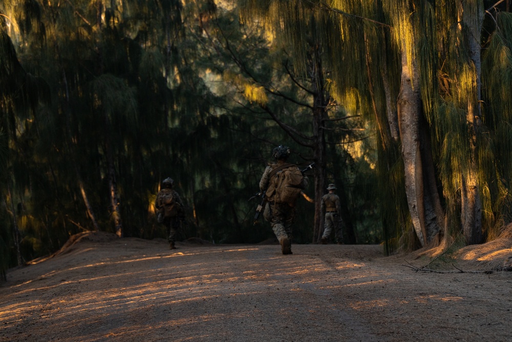 At the Crack of Dawn: Students at SOI-West Participate in the Advanced Infantry Marine Course at Kahuku Training Area