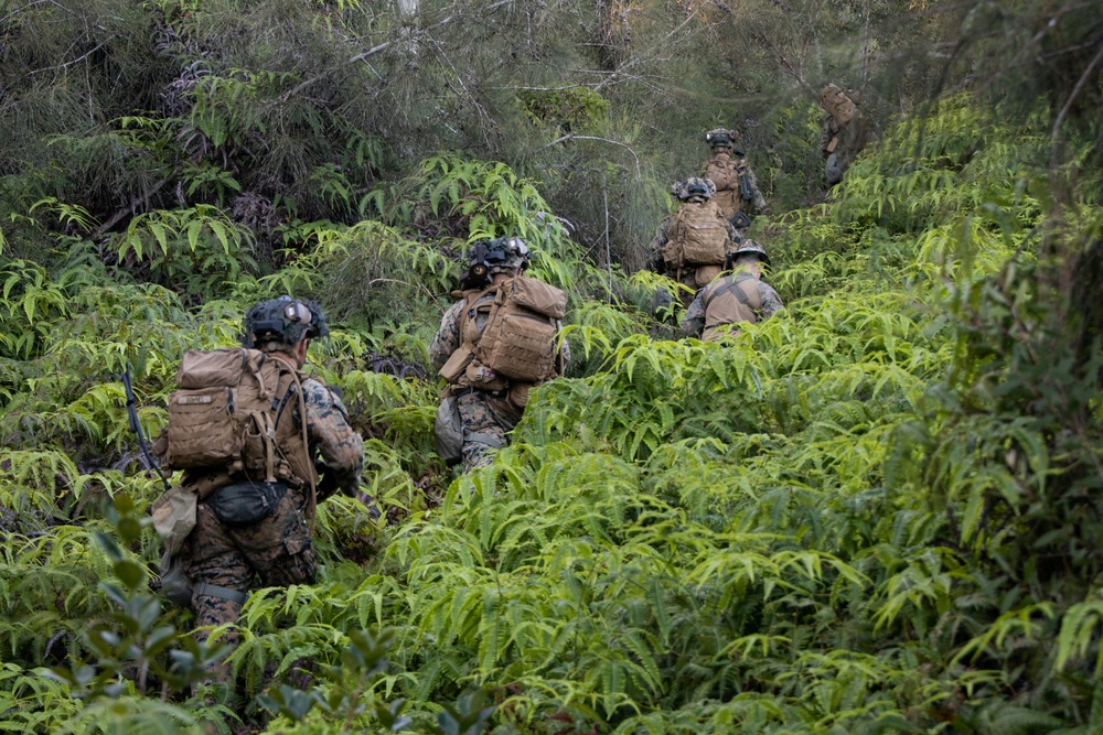 At the Crack of Dawn: Students at SOI-West Participate in the Advanced Infantry Marine Course at Kahuku Training Area
