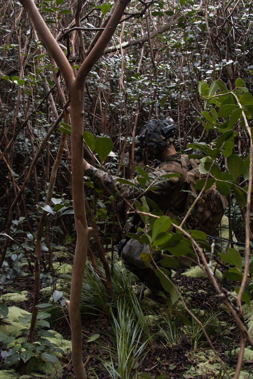 At the Crack of Dawn: Students at SOI-West Participate in the Advanced Infantry Marine Course at Kahuku Training Area