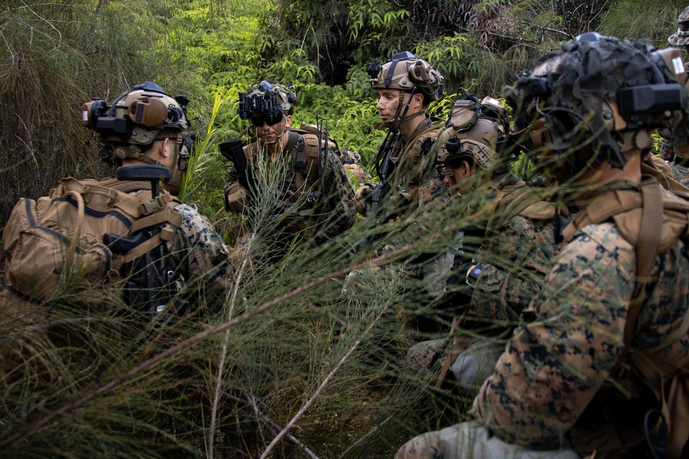 At the Crack of Dawn: Students at SOI-West Participate in the Advanced Infantry Marine Course at Kahuku Training Area
