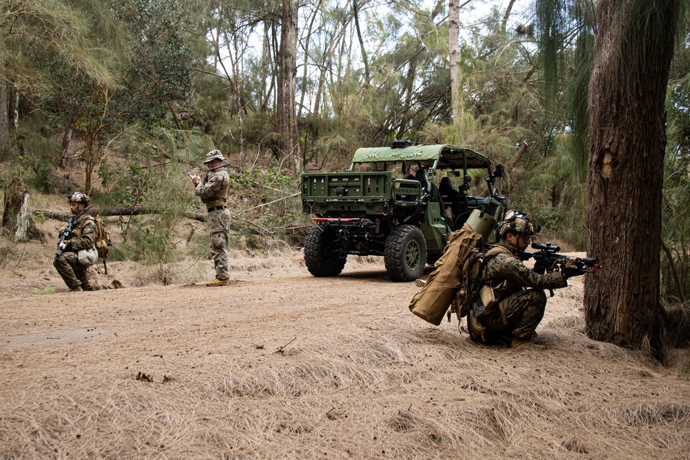 At the Crack of Dawn: Students at SOI-West Participate in the Advanced Infantry Marine Course at Kahuku Training Area