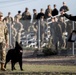 DoD K9 Competition