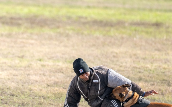 DoD K9 Competition