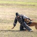 DoD K9 Competition