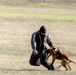 DoD K9 Competition