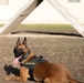 DoD K9 Competition