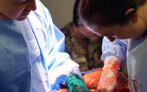 EMF 150-Alpha refines operational readiness at NEMWDC