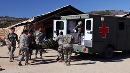 EMF 150-Alpha refines operational readiness at NEMWDC
