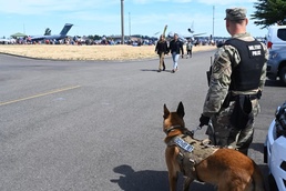 K9 Units Provide Readiness and Lethality