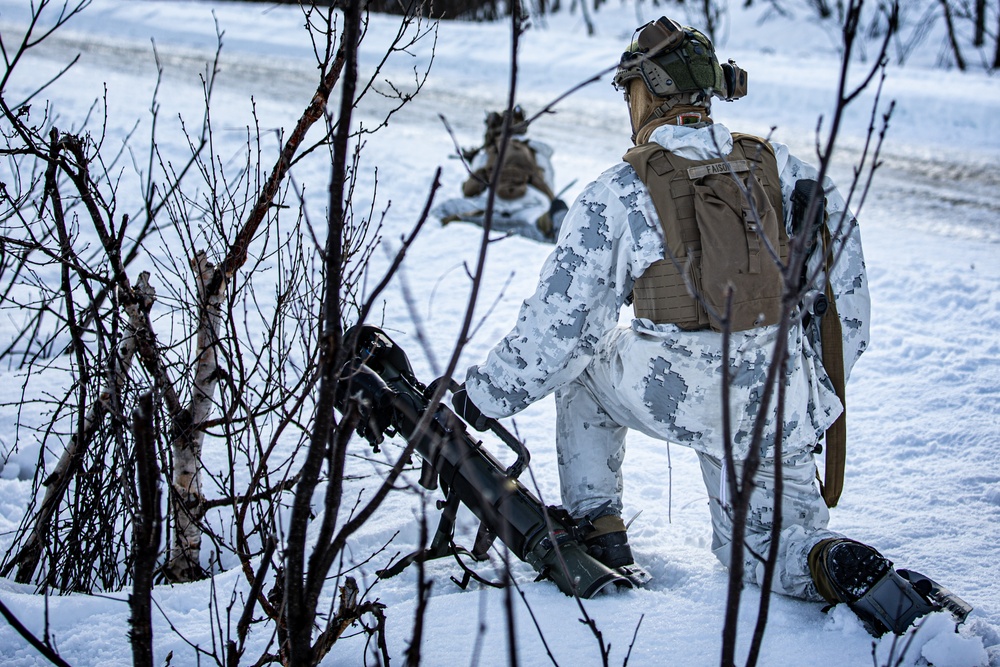 Exercise Joint Viking 25: Cold Weather Training Week 5