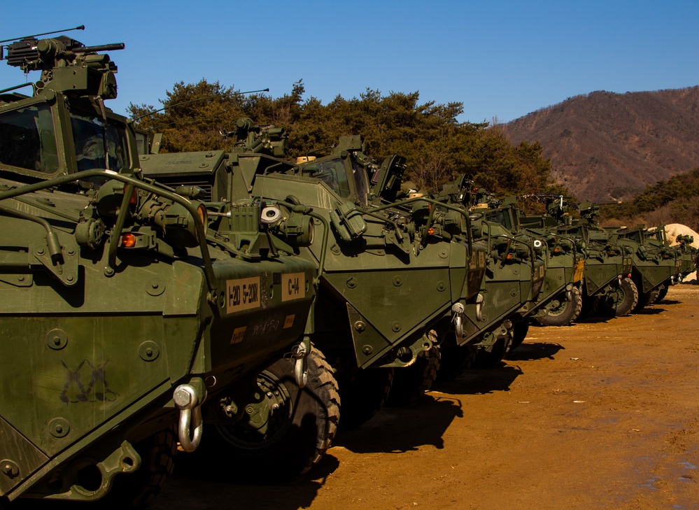 M1126 Stryker Vehicles, with the  23rd Infantry Regiment, Positioned for Deployment - CALFEX 2025