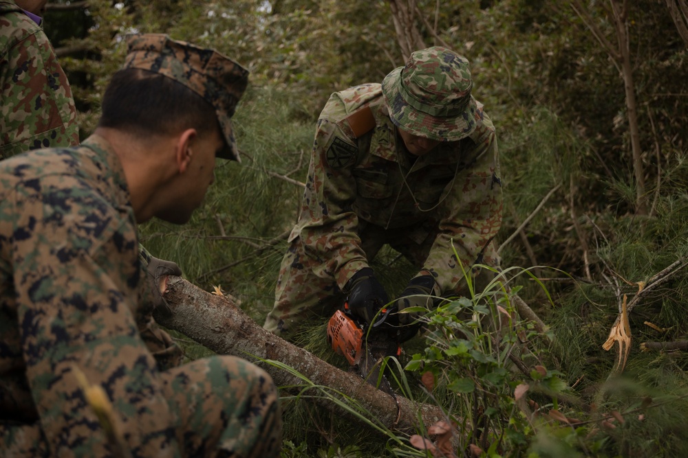 Iron Fist 25 | 31st MEU, JGSDF Beautification Project