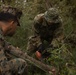 Iron Fist 25 | 31st MEU, JGSDF Beautification Project