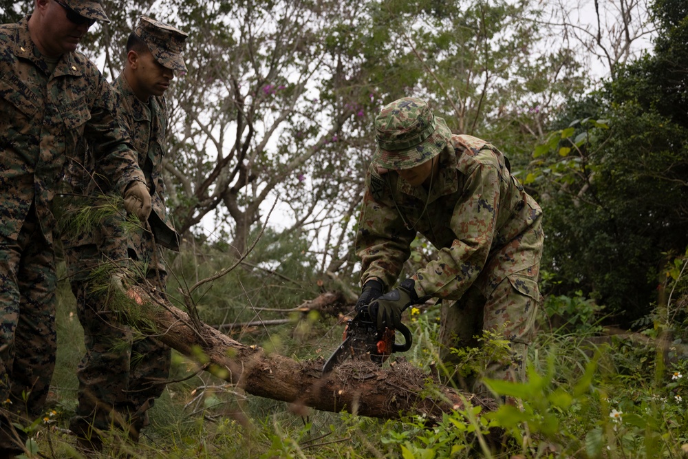 Iron Fist 25 | 31st MEU, JGSDF Beautification Project