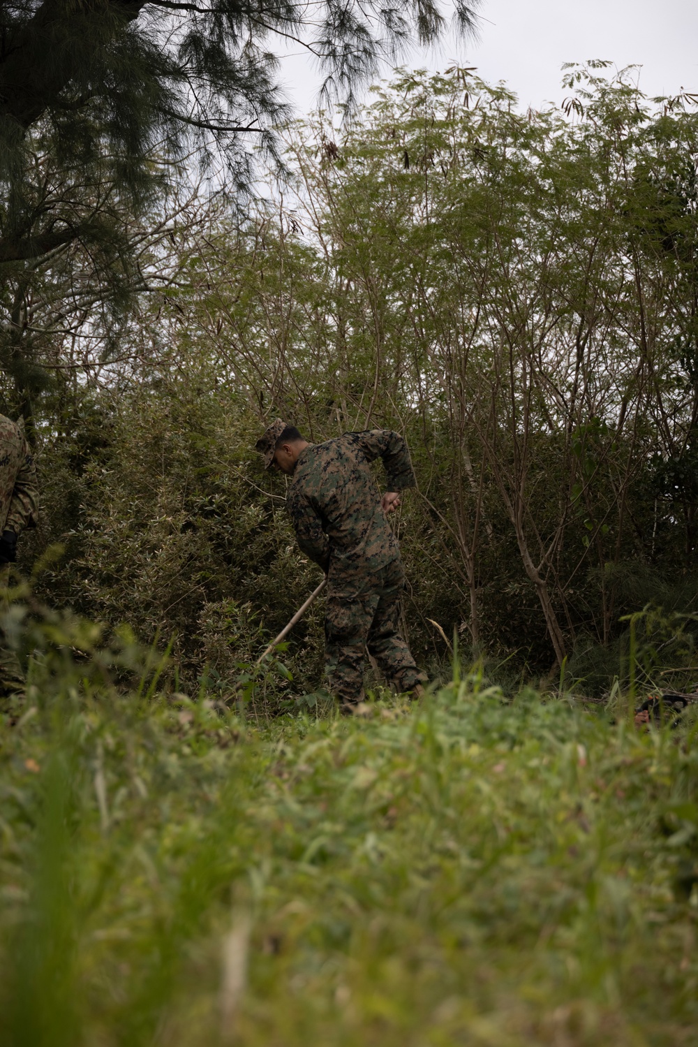 Iron Fist 25 | 31st MEU, JGSDF Beautification Project