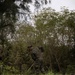 Iron Fist 25 | 31st MEU, JGSDF Beautification Project