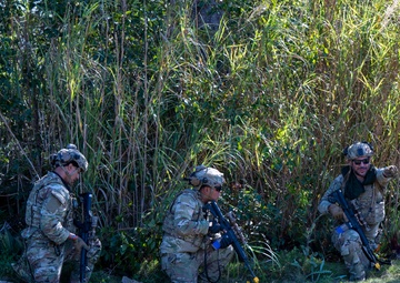 Fireteam in Cover During MOSAIC GECKO II