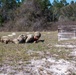 Soldiers showcase operational readiness through Best Warrior Competition 2025