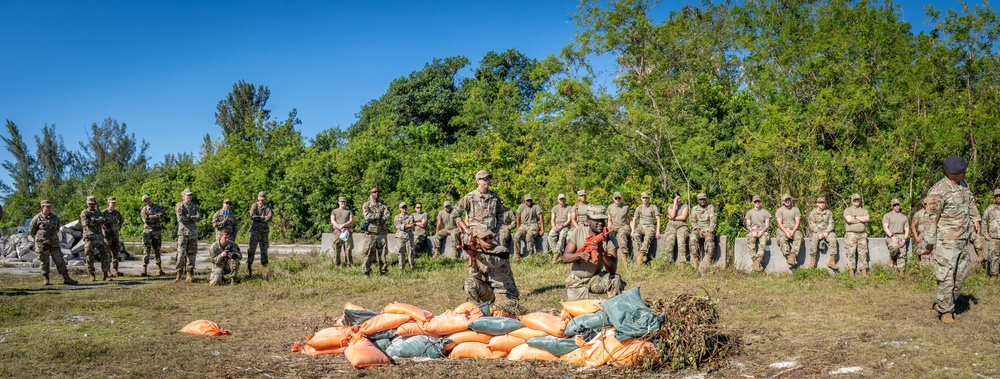 Defensive Fighting Position Training at EXERCISE MOSAIC GECKO II