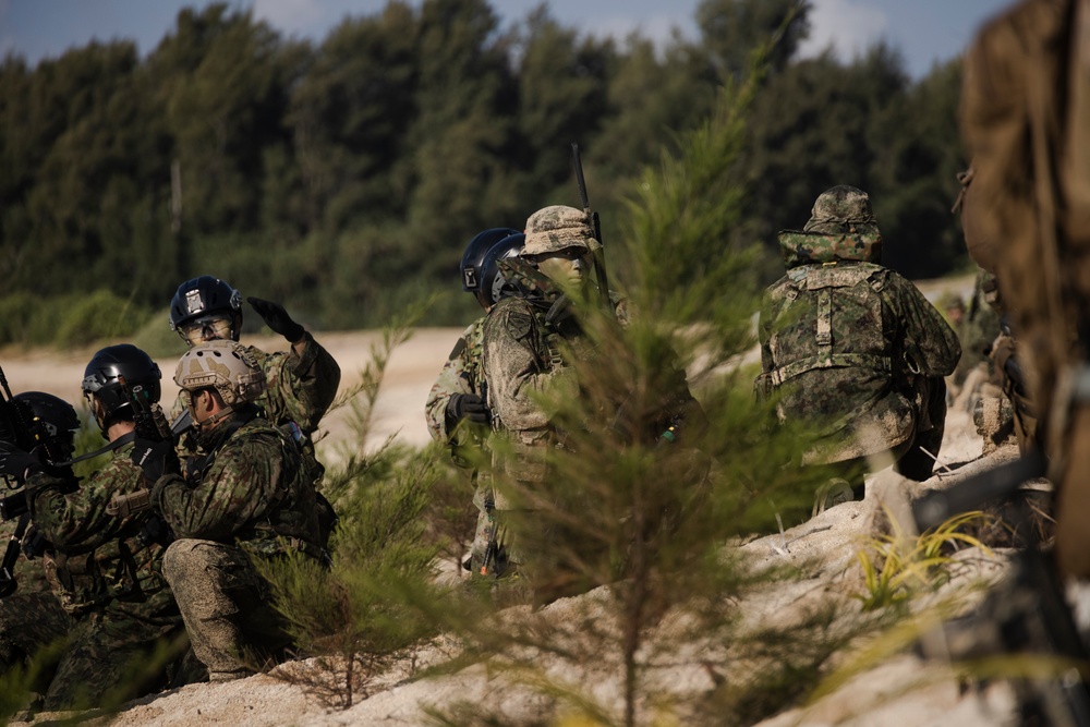 Iron Fist 25 | 31st MEU, JGSDF Boat Raid