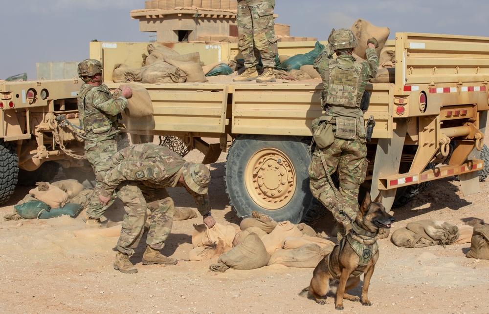 Standing Guard: MWD LLakota Watches as Soldiers Participate in EPFA at Al Tanf Garrison