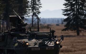 Ready to Fight: 81st SBCT tests skills during squad training exercise