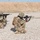 Coalition Forces Conduct Estonian-Led Range Operations