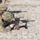 Coalition Forces Conduct Estonian-Led Range Operations