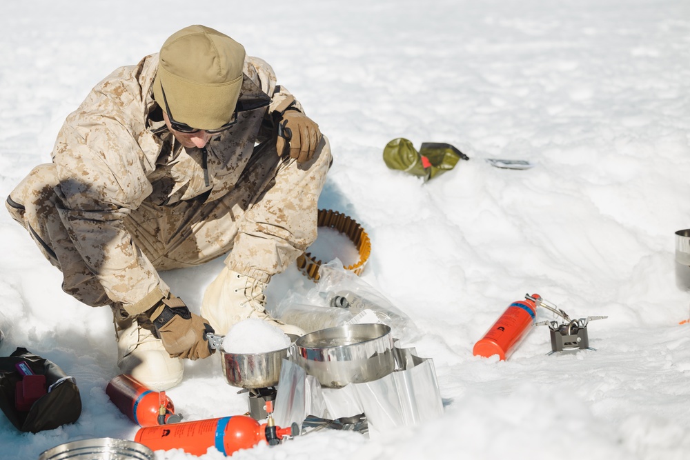 Marines with V1/6 set up camp during MTX 2-25