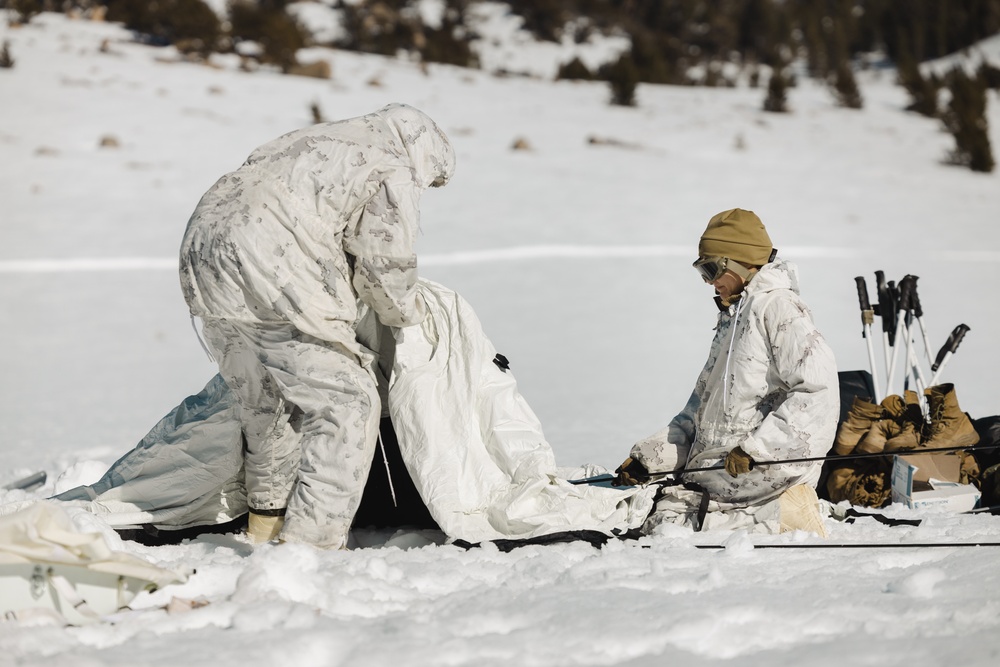 Marines with V1/6 set up camp during MTX 2-25