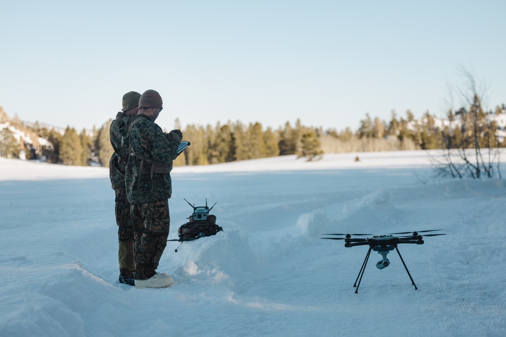 Marines with V1/6 set up camp during MTX 2-25