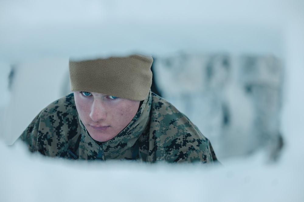Marines with V1/6 set up camp during MTX 2-25
