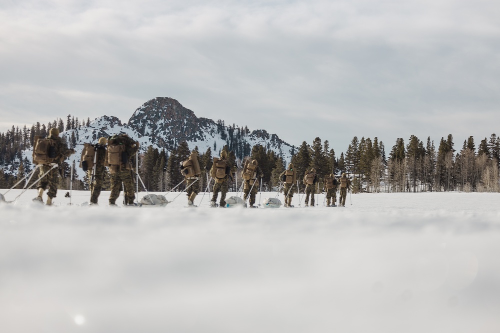 Marines with V1/6 patrol during MTX 2-25