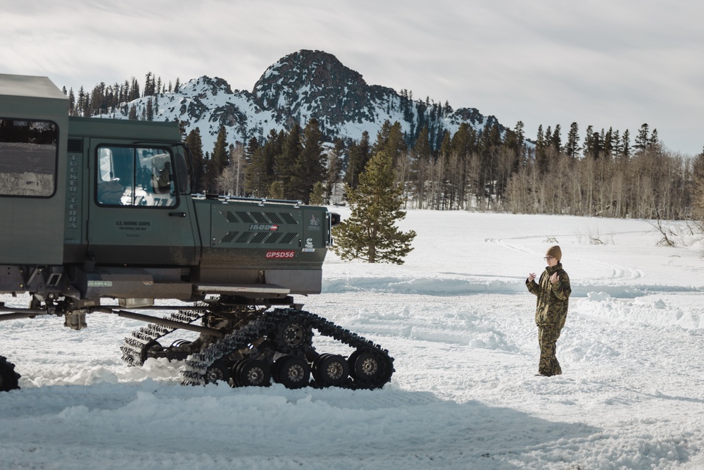 Marines with V1/6 patrol during MTX 2-25