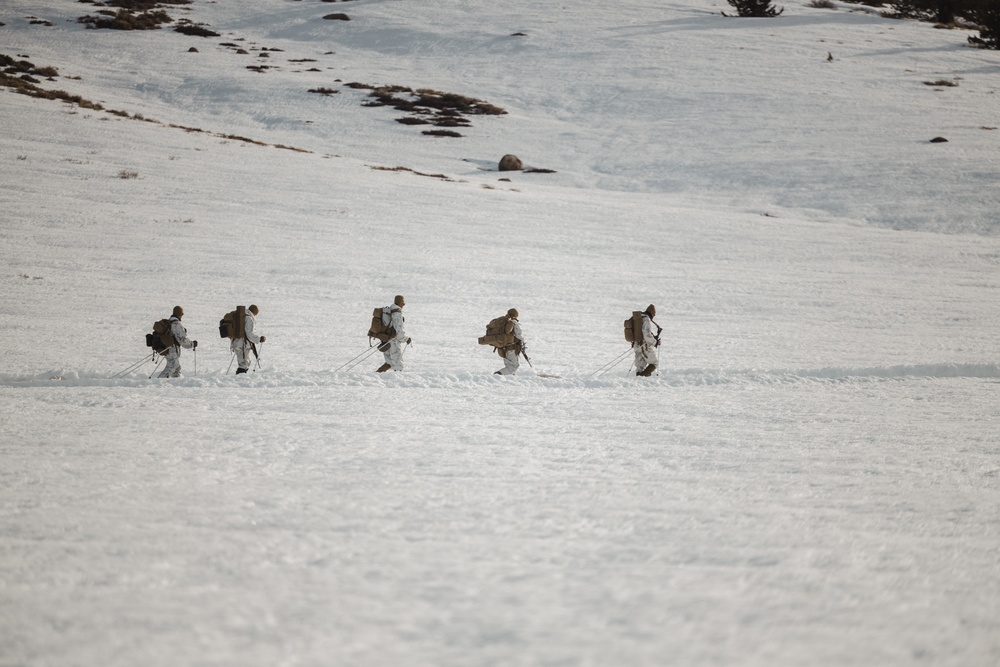 Marines with V1/6 patrol during MTX 2-25