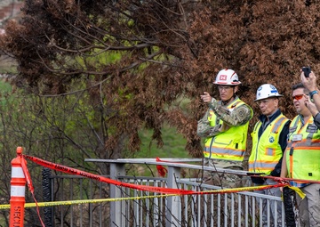 Pacific Palisades Damage Assessment