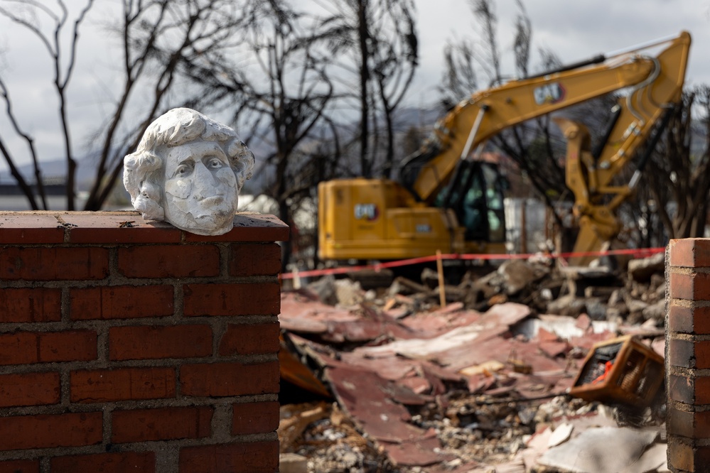 Symbol of Resilience Amid Debris Removal
