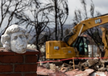 Symbol of Resilience Amid Debris Removal