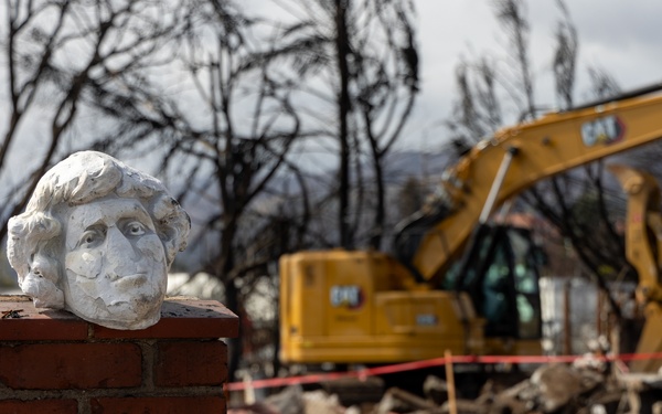 Symbol of Resilience Amid Debris Removal